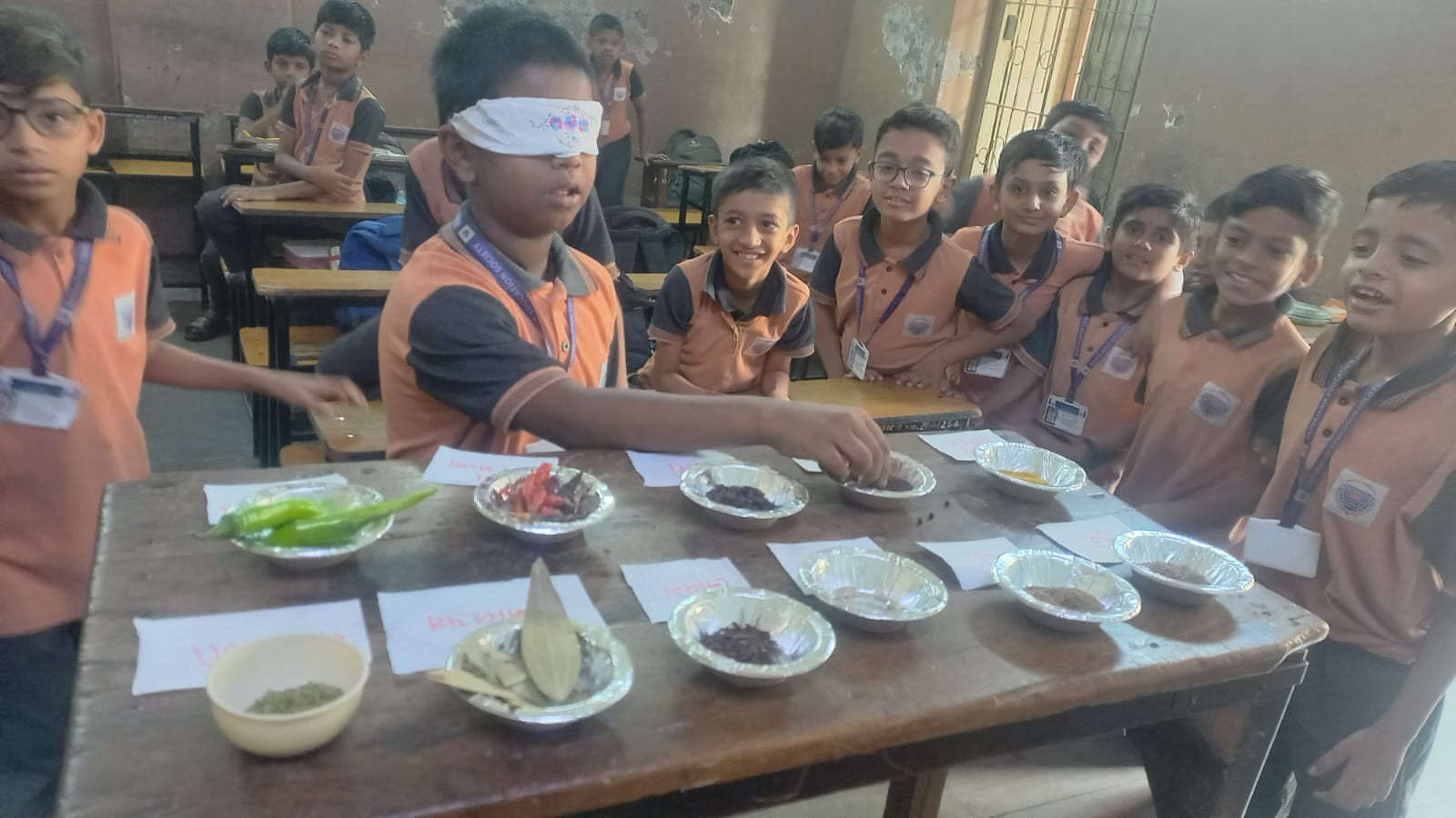 Identification of environmental spices(PU)